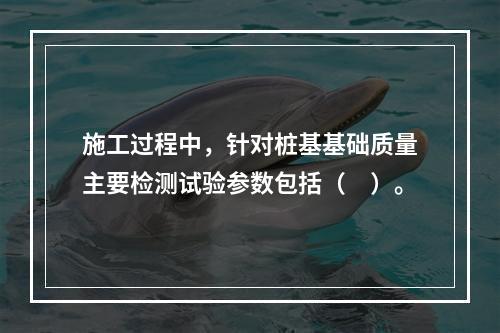 施工过程中，针对桩基基础质量主要检测试验参数包括（　）。