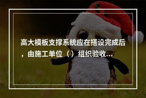 高大模板支撑系统应在搭设完成后，由施工单位（ ）组织验收。