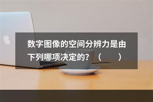 数字图像的空间分辨力是由下列哪项决定的？（　　）