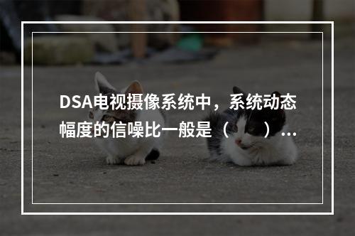 DSA电视摄像系统中，系统动态幅度的信噪比一般是（　　）。