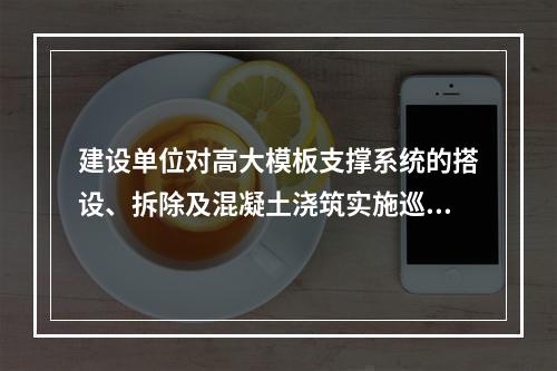 建设单位对高大模板支撑系统的搭设、拆除及混凝土浇筑实施巡查，