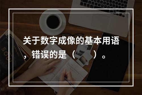 关于数字成像的基本用语，错误的是（　　）。