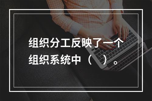 组织分工反映了一个组织系统中（　）。