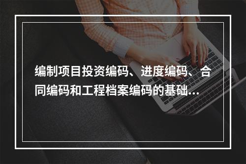 编制项目投资编码、进度编码、合同编码和工程档案编码的基础是（