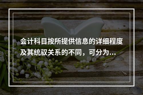 会计科目按所提供信息的详细程度及其统驭关系的不同，可分为（