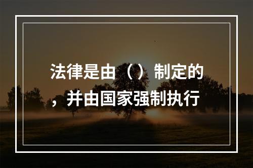 法律是由（ ）制定的，并由国家强制执行