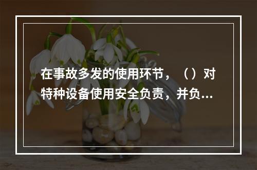 在事故多发的使用环节，（ ）对特种设备使用安全负责，并负有对