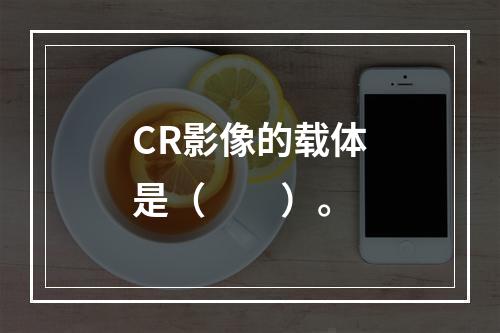 CR影像的载体是（　　）。