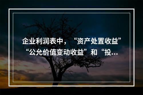 企业利润表中，“资产处置收益”“公允价值变动收益”和“投资收