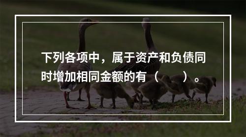 下列各项中，属于资产和负债同时增加相同金额的有（　　）。