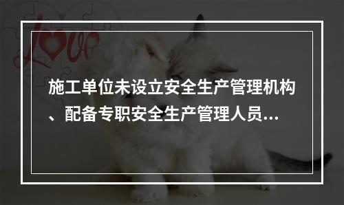 施工单位未设立安全生产管理机构、配备专职安全生产管理人员或者