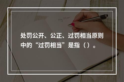 处罚公开、公正、过罚相当原则中的“过罚相当”是指（ ）。