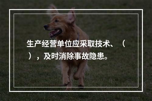 生产经营单位应采取技术、（ ），及时消除事故隐患。