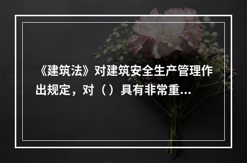 《建筑法》对建筑安全生产管理作出规定，对（ ）具有非常重要的