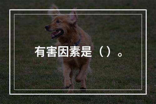 有害因素是（ ）。