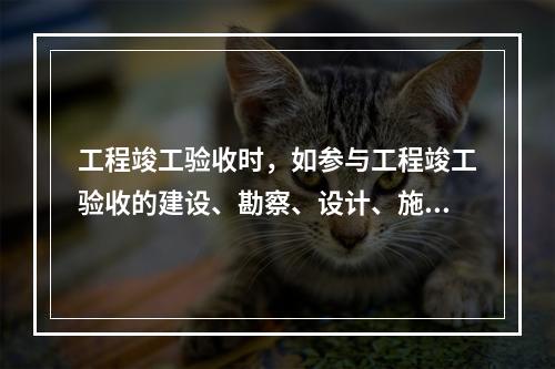 工程竣工验收时，如参与工程竣工验收的建设、勘察、设计、施工、