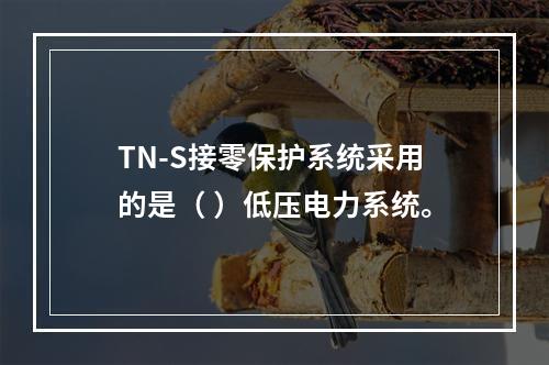 TN-S接零保护系统采用的是（ ）低压电力系统。