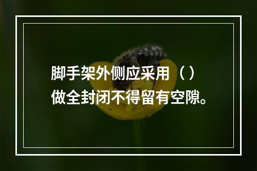 脚手架外侧应采用（ ）做全封闭不得留有空隙。