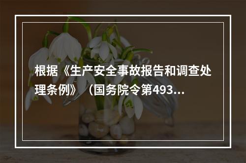 根据《生产安全事故报告和调查处理条例》（国务院令第493号）