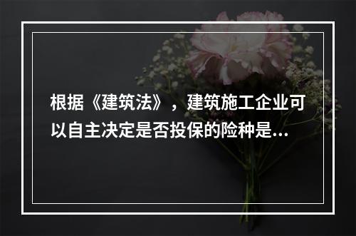 根据《建筑法》，建筑施工企业可以自主决定是否投保的险种是（　