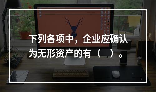 下列各项中，企业应确认为无形资产的有（　）。