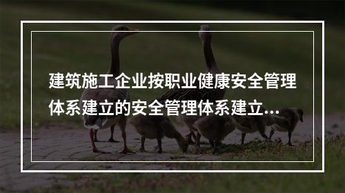 建筑施工企业按职业健康安全管理体系建立的安全管理体系建立的安