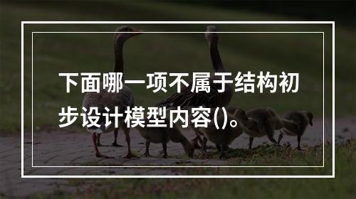 下面哪一项不属于结构初步设计模型内容()。