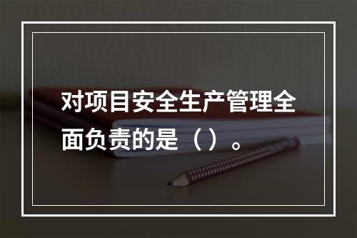 对项目安全生产管理全面负责的是（ ）。