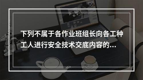 下列不属于各作业班组长向各工种工人进行安全技术交底内容的是（