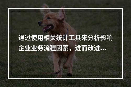 通过使用相关统计工具来分析影响企业业务流程因素，进而改进流