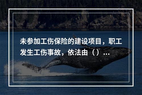 未参加工伤保险的建设项目，职工发生工伤事故，依法由（ ）支付