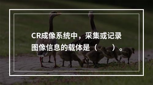 CR成像系统中，采集或记录图像信息的载体是（　　）。