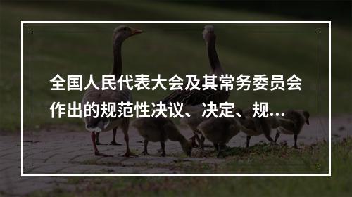 全国人民代表大会及其常务委员会作出的规范性决议、决定、规定、