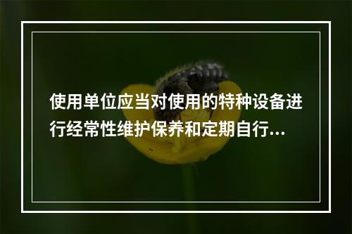 使用单位应当对使用的特种设备进行经常性维护保养和定期自行检查