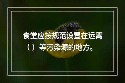 食堂应按规范设置在远离（ ）等污染源的地方。