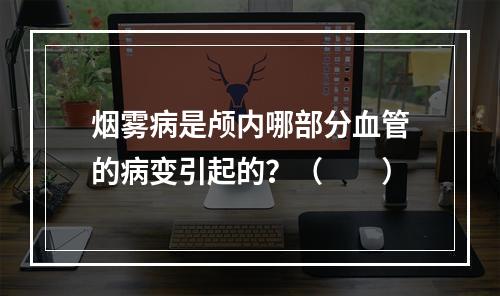 烟雾病是颅内哪部分血管的病变引起的？（　　）