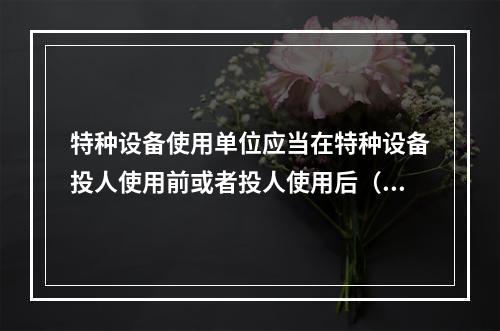 特种设备使用单位应当在特种设备投人使用前或者投人使用后（ ）