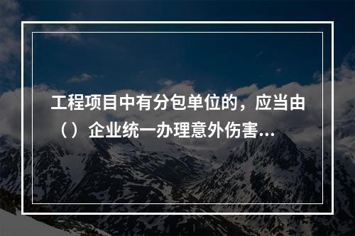 工程项目中有分包单位的，应当由（ ）企业统一办理意外伤害保险