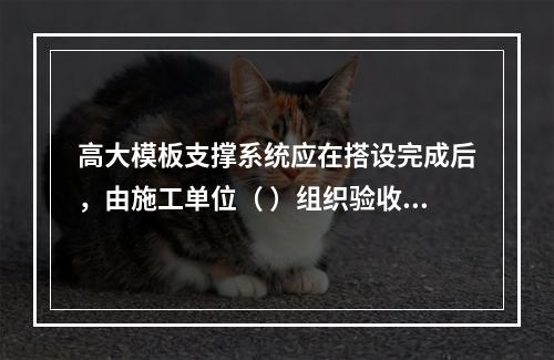 高大模板支撑系统应在搭设完成后，由施工单位（ ）组织验收。