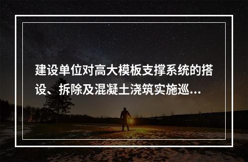 建设单位对高大模板支撑系统的搭设、拆除及混凝土浇筑实施巡查，