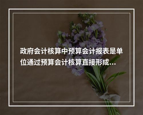 政府会计核算中预算会计报表是单位通过预算会计核算直接形成的报