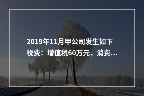 2019年11月甲公司发生如下税费：增值税60万元，消费税8