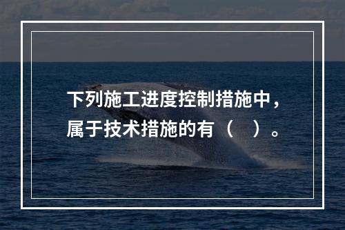 下列施工进度控制措施中，属于技术措施的有（　）。