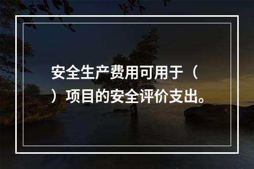 安全生产费用可用于（ ）项目的安全评价支出。