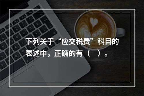 下列关于“应交税费”科目的表述中，正确的有（　）。