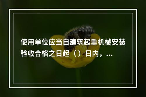 使用单位应当自建筑起重机械安装验收合格之日起（ ）日内，向工