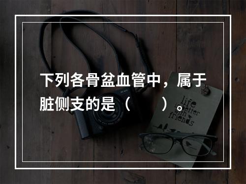 下列各骨盆血管中，属于脏侧支的是（　　）。