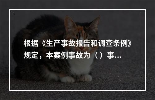 根据《生产事故报告和调查条例》规定，本案例事故为（ ）事故。