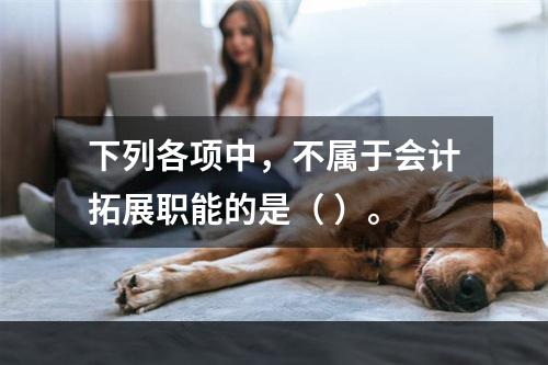 下列各项中，不属于会计拓展职能的是（ ）。