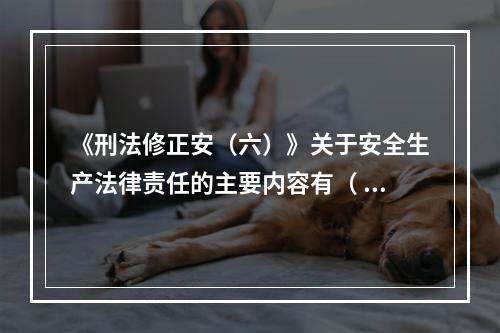 《刑法修正安（六）》关于安全生产法律责任的主要内容有（ ）。